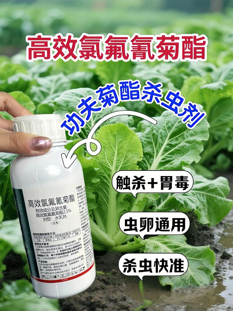 张掖代生中心:农药对供卵代生妈妈的危害